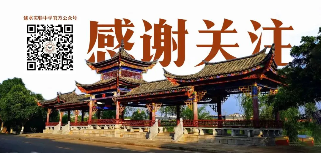 篮球双人训练计划怎么写_2